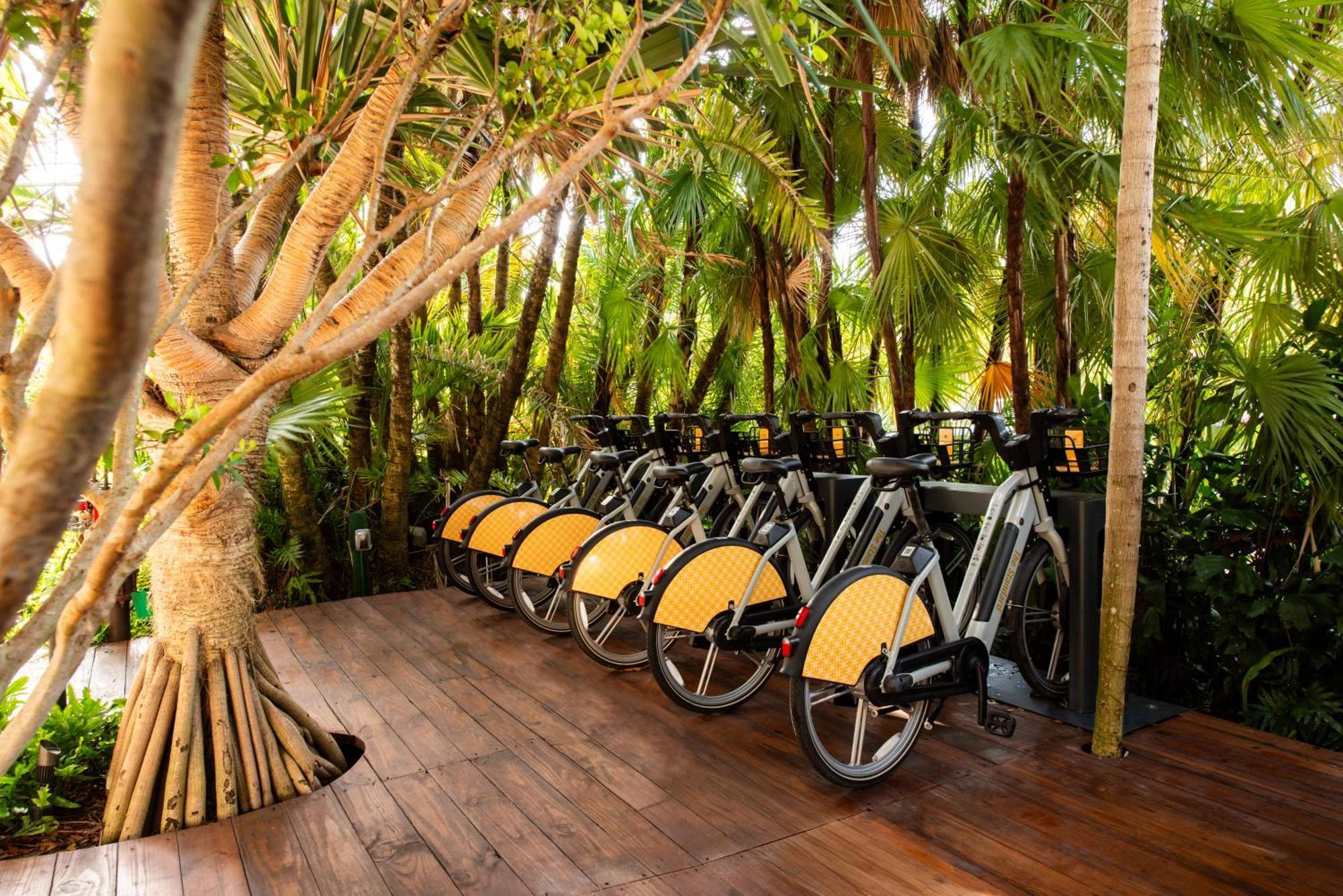 Hotel The Standard Miami Miami Beach Zewnętrze zdjęcie
